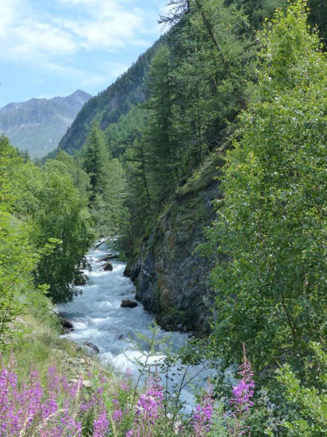 Tranquillite Et Authenticite Au Pied Des Ecrins Lejlighed Villar-dʼArène Eksteriør billede
